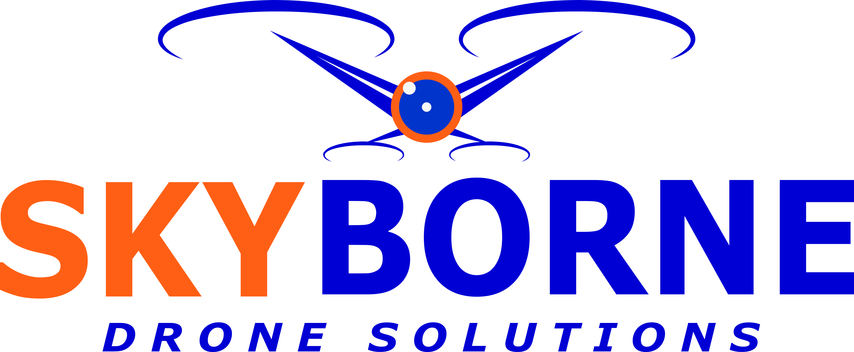 SkyBorne Drone Solutions